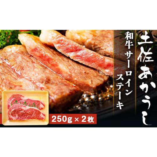ふるさと納税 牛肉 サーロイン 高知県 南国市 土佐あかうし 和牛サーロイン/ステーキ 500g(250g×2枚)