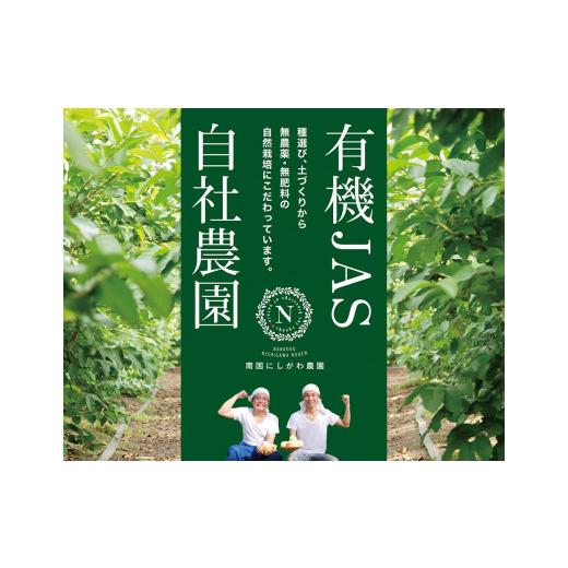 ふるさと納税 高知県 南国市 国産有機栽培グァバ葉100％使用 土佐國グァバ茶2g×30包入り 3個セット｜furusatochoice｜06