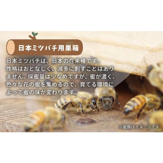 ふるさと納税 民芸品・工芸品 岐阜県 東白川村 日本ミツバチ用飼育箱 