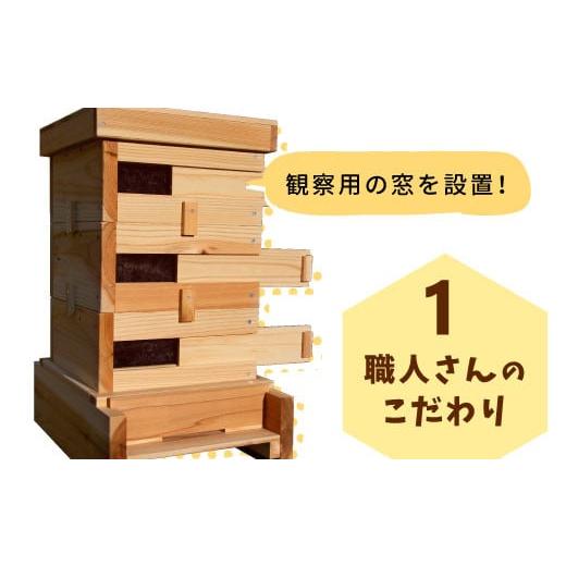ふるさと納税 民芸品・工芸品 岐阜県 東白川村 日本ミツバチ用飼育箱