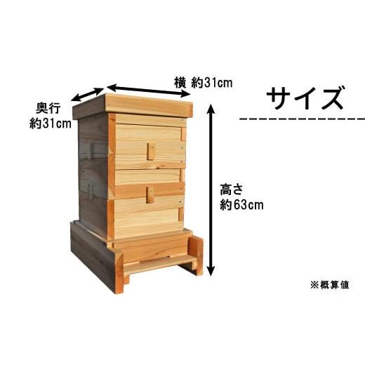 ふるさと納税 民芸品・工芸品 岐阜県 東白川村 日本ミツバチ用飼育箱 