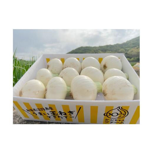 ふるさと納税 野菜類 玉ねぎ 兵庫県 南あわじ市  先行受付 希少 特別栽培真っ白な白たまねぎ 10kg 〜ひょうご安心ブランド認証取得〜 配送５月中旬〜６月下…の画像