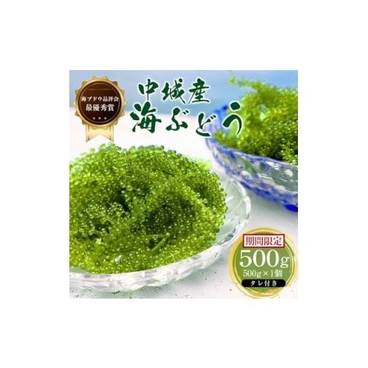 ふるさと納税 のり・海藻 沖縄県 中城村 沖縄から産地直送 県産海ぶどう品評会最優秀賞受賞 ちゅら海ぶどう500g×1箱 1674875