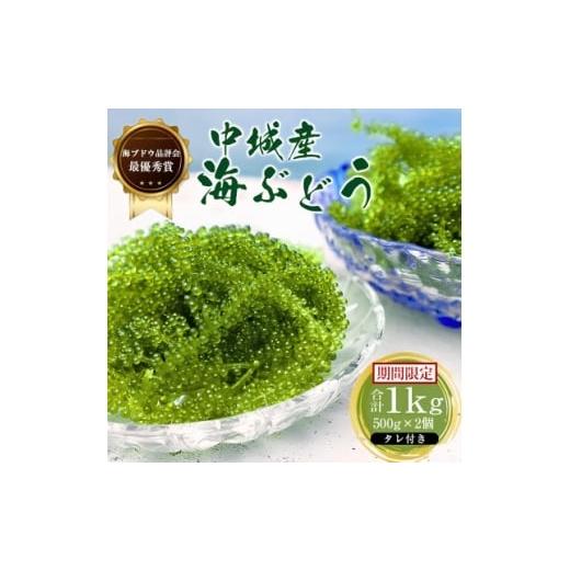 ふるさと納税 のり・海藻 沖縄県 中城村 沖縄から産地直送 県産海ぶどう品評会最優秀賞受賞 ちゅら海ぶどう1kg(500g×2箱) 1674920