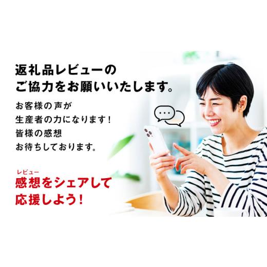 ふるさと納税 和菓子 和菓子セット・詰め合わせ 愛媛県 大洲市 志ぐれ 山栄堂の志ぐれ詰め合わせBセット（1箱） 郷土菓子 食べ比べ セット 栗 抹茶 もちもち …の画像