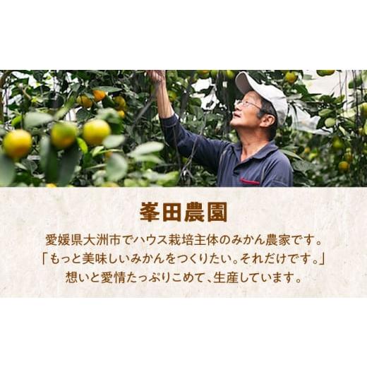 ふるさと納税 愛媛県 大洲市 【先行予約】【夏限定】愛媛県産 峯田農園のあま〜い「ハウスみかん」5kg　愛媛県大洲市／峯田農園 [AGBT004]果物 フルーツ みか…｜furusatochoice｜07