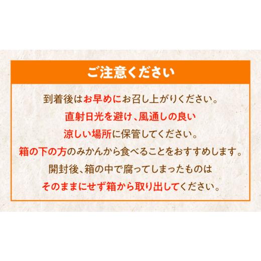 ふるさと納税 愛媛県 大洲市 【先行予約】【11月下旬から順次発送】愛媛県産 峯田農園のとろける宝石柑橘「まどんな」2L〜3Lサイズ 10〜12玉　愛媛県大洲市／…｜furusatochoice｜06