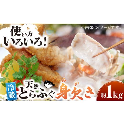 ふるさと納税 フグ 愛媛県 大洲市 とらふぐ 先行予約 2026年10月上旬から順次発送 天然 とらふぐ 身欠き 1匹 （約 1kg ） 愛媛県大洲市／天然活魚 濱屋 AGBP00…_1