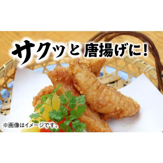 ふるさと納税 フグ 愛媛県 大洲市 とらふぐ 先行予約 2026年10月上旬から順次発送 天然 とらふぐ 身欠き 1匹 （約 1kg ） 愛媛県大洲市／天然活魚 濱屋 AGBP00…_4