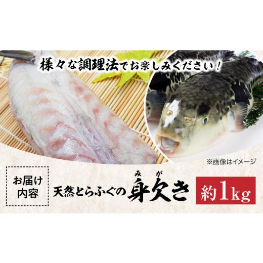 ふるさと納税 フグ 愛媛県 大洲市 とらふぐ 先行予約 2026年10月上旬から順次発送 天然 とらふぐ 身欠き 1匹 （約 1kg ） 愛媛県大洲市／天然活魚 濱屋 AGBP00…_5