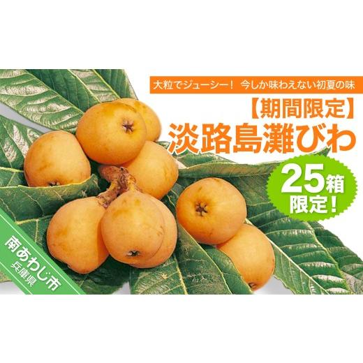 ふるさと納税 果物類 びわ 兵庫県 南あわじ市 期間限定・数量限定 淡路島灘びわ 配送6月中旬〜