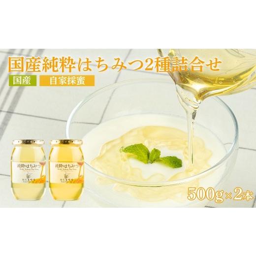 ふるさと納税 加工品等 はちみつ 福島県 福島市 No.0087国産純粋はちみつ2種詰合せ500g×2本の画像