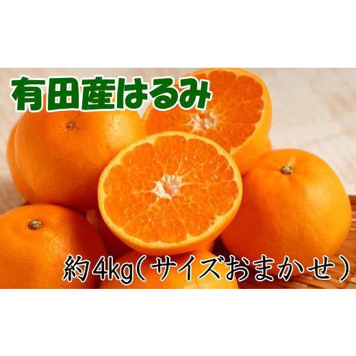 ふるさと納税 みかん・柑橘類 オレンジ 和歌山県 和歌山市 ［厳選・濃厚］紀州有田産のはるみ約4kg(サイズおまかせ) 2027年1月下旬頃より順次発送［TM27］_1