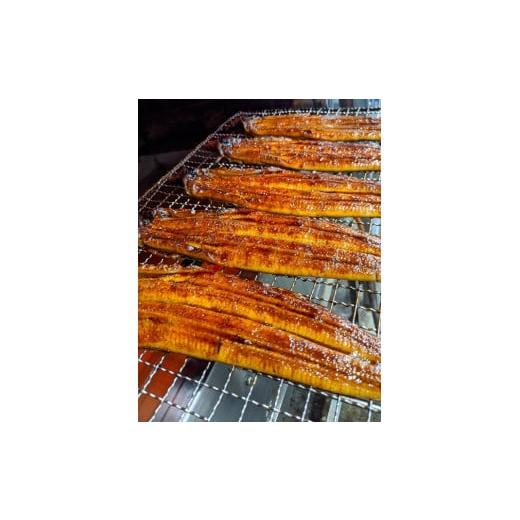 ふるさと納税 うなぎ 滋賀県 草津市 うなぎ蒲焼 1尾入