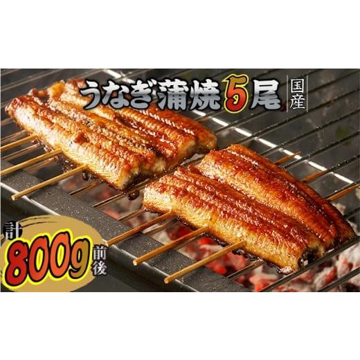 【中古品 】 ふるさと納税 福岡県 飯塚市 国産うなぎの蒲焼き(5尾)【E3-005】 【DGJ7524100155】(26500円)