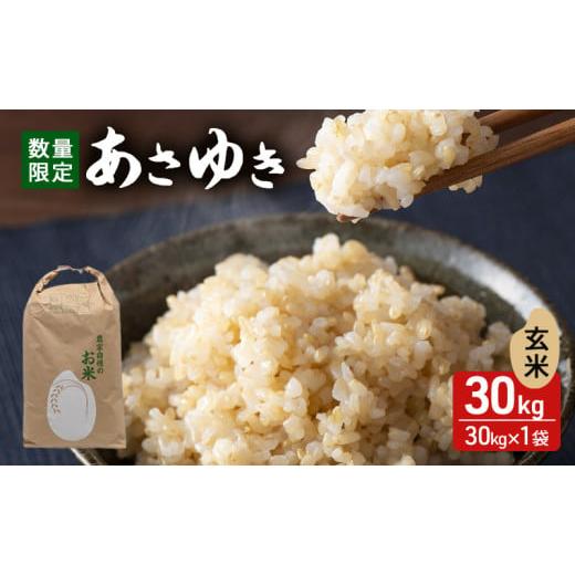 ふるさと納税 米 青森県 鰺ヶ沢町 令和7年産 あさゆき 玄米 30kg H.GREENWORK 青森県 鯵ヶ沢産 / お米 希少米 もっちり 大容量 備蓄 健康 津軽