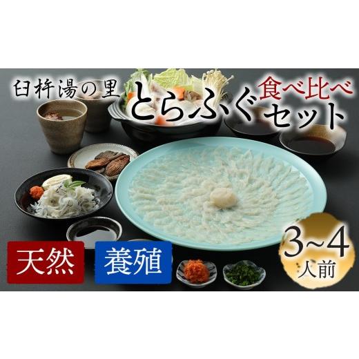 ふるさと納税 フグ 大分県 臼杵市 養殖＆天然とらふぐの贅沢食べ比べ とらふぐ刺しふぐ鍋セット（6〜8人前）［冷蔵］臼杵湯の里_1