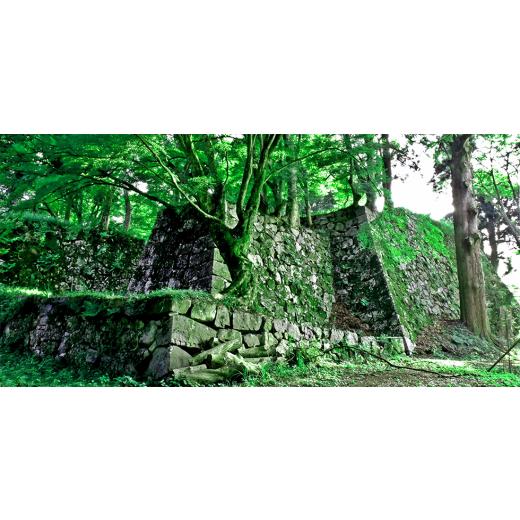 ふるさと納税 木工品・竹工品 奈良県 高取町  本格 ひのき風呂椅子・桶セット(デラックス30cmステンレスタガ) 1112047の画像