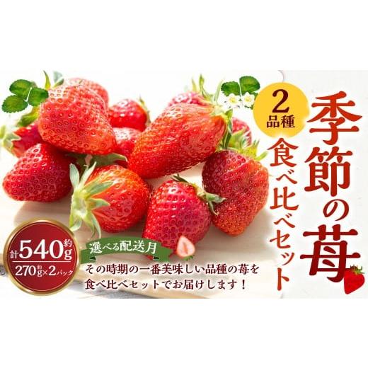 ふるさと納税 いちご 福岡県 うきは市 よかもんいちご 2品種食べ比べセット 2026年2月発送 いちご イチゴ 苺 2種 フルーツ 果物 贈答 贈り物 ギフト 令和7年 …
