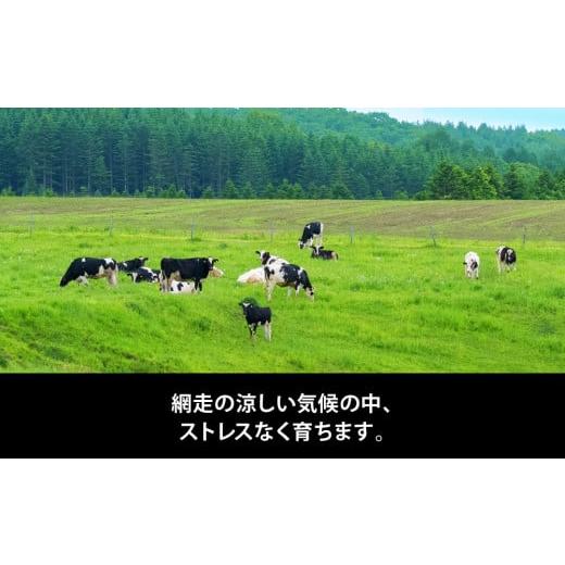 ふるさと納税 菓子 アイス 北海道 網走市  定期便 Rimoカップソフトクリーム〈120ml×16個〉 全3回 Rimo ジェラート アイスクリーム アイス スイーツ 人気 ラ…の画像