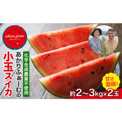 ふるさと納税 スイカ 熊本県 玉東町 『あかりふぁーむ』の小玉スイカ2玉セット1玉約2〜3kg熊本県玉名郡玉東町『あかりふぁーむ』すいか フルーツ 果物 熊本県…