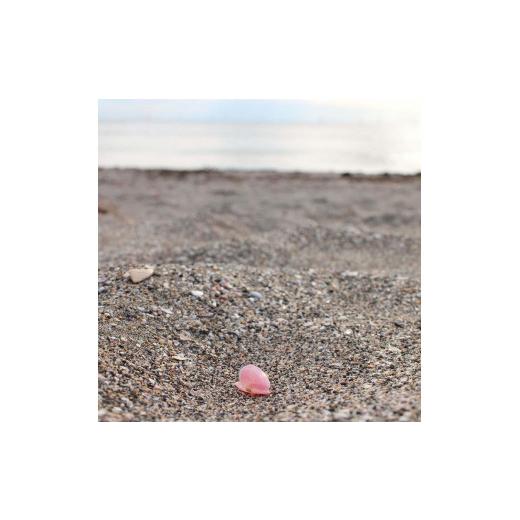 ふるさと納税 ネックレス 神奈川県 鎌倉市 桜貝 さくらひとえ ネックレス_5