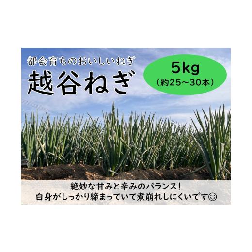 ふるさと納税 野菜類 ねぎ 埼玉県 越谷市 越谷ねぎ(白ねぎ5kg) / ネギ 葱 白ネギ 野菜 甘み 辛み 産直 産地直送 鍋 煮物 炒めもの アヒージョ 薬味 万能 お…