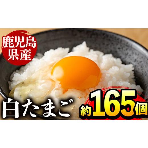ふるさと納税 卵(鶏、烏骨鶏等) 鹿児島県 出水市 i303 鹿児島県産の白たまご約10kg(約165個・Mサイズ)業務用仕様 養鶏の専門農協で一貫して生産された国産生…