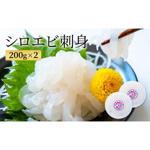 ふるさと納税 富山県 射水市 [No.5683-0329]シロエビの刺身200g×2｜furusatochoice｜02