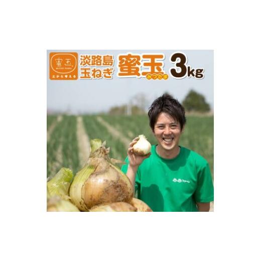 ふるさと納税 野菜類 玉ねぎ 兵庫県 南あわじ市 蜜玉(みつたま)3kg 2026年度産淡路島玉ねぎ(有機肥料100%)