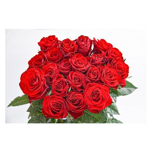 ふるさと納税 雑貨・日用品 花 山形県 寒河江市 赤系 薔薇の花 20本×長さ60cm (切り花延命剤付属) 配送不可 沖縄・離島 018-K-MM034-red 赤系(単色)