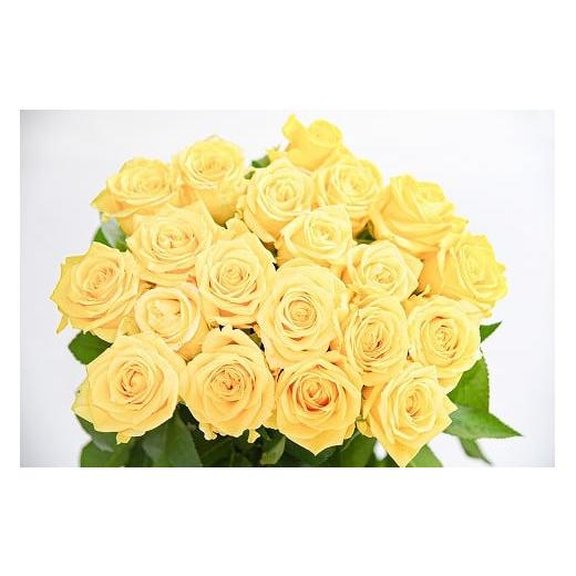 ふるさと納税 雑貨・日用品 花 山形県 寒河江市 黄色系 薔薇の花 20本×長さ60cm (切り花延命剤付属) 配送不可 沖縄・離島 018-K-MM034-yellow 黄色系(単…
