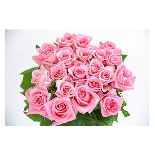 ふるさと納税 雑貨・日用品 花 山形県 寒河江市 ピンク系 薔薇の花 20本×長さ60cm (切り花延命剤付属) 配送不可 沖縄・離島 018-K-MM034-pink ピンク系(…