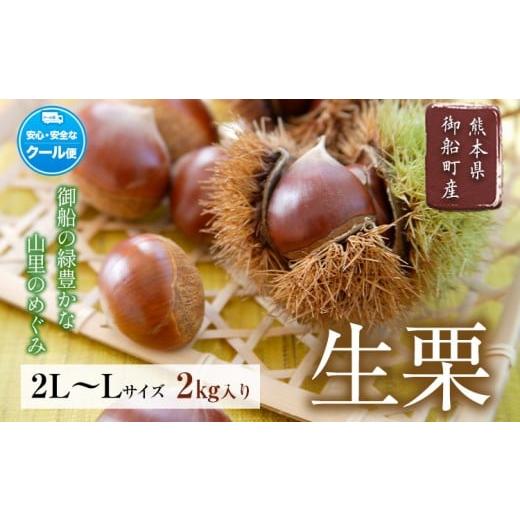 ふるさと納税 果物類 栗 熊本県 御船町 生栗 熊本県御船町産限定 約2kg(2L-Lサイズ)[9月上旬-9月下旬頃出荷]送料無料 期間限定 野菜 予約 スイーツ きんとん…