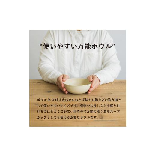 ふるさと納税 陶磁器・漆器・ガラス 滋賀県 甲賀市 ボウルM とび茶生成りセット s18-wa10 信楽焼・明山の画像