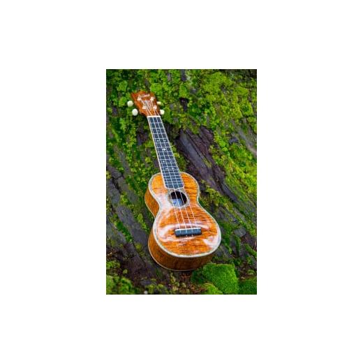 ふるさと納税 楽器 富山県 南砺市  ウクレレ S.Tsuji Ukulele soprano《南砺の逸品》の画像