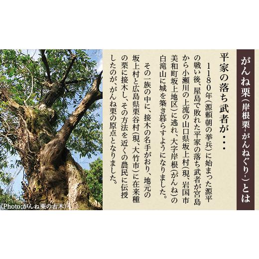 ふるさと納税 焼菓子・チョコレート パウンドケーキ 山口県 岩国市 岩国がんね栗「華」（パウンドケーキ500g） がんね栗の里_4