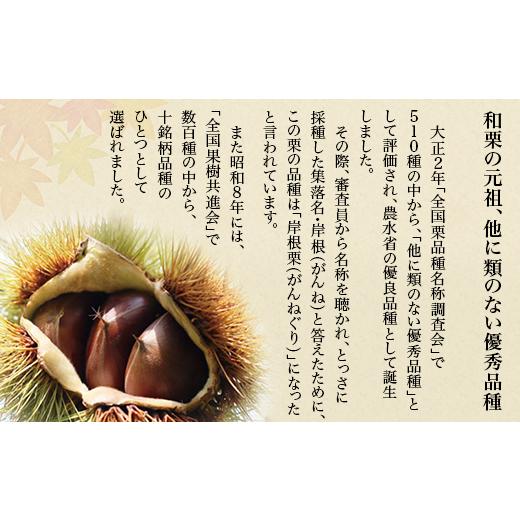 ふるさと納税 焼菓子・チョコレート パウンドケーキ 山口県 岩国市 岩国がんね栗「華」（パウンドケーキ500g） がんね栗の里_5