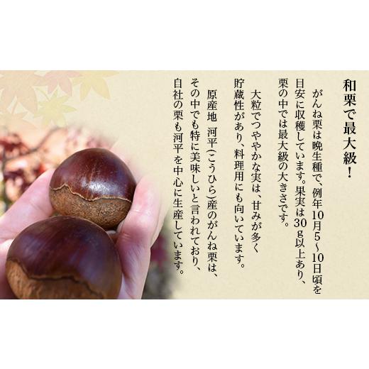 ふるさと納税 焼菓子・チョコレート パウンドケーキ 山口県 岩国市 岩国がんね栗「華」（パウンドケーキ500g） がんね栗の里_6