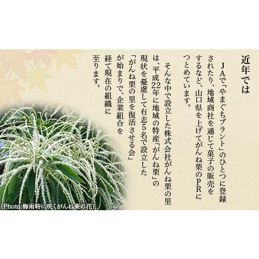 ふるさと納税 焼菓子・チョコレート パウンドケーキ 山口県 岩国市 岩国がんね栗「華」（パウンドケーキ500g） がんね栗の里_7