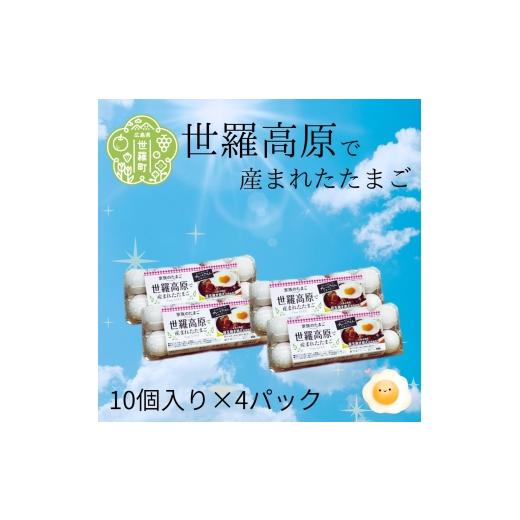 ふるさと納税 卵(鶏、烏骨鶏等) 広島県 世羅町 世羅で生まれたたまご 40個(10個入り×4パック) 津口ファーム たまご 玉子 生卵 鶏卵 卵 卵かけご飯 TKG 世羅…