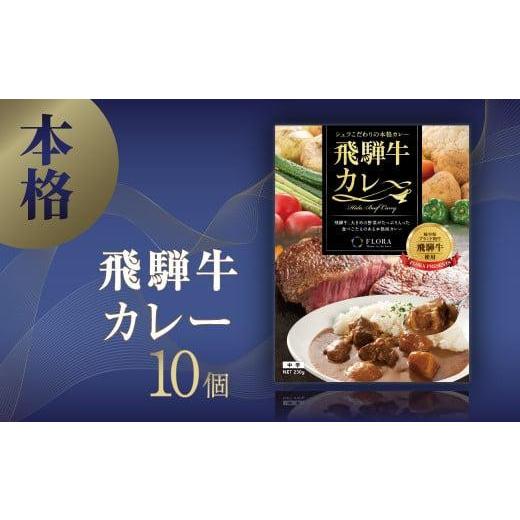 ふるさと納税 加工品等 レトルト 岐阜県 高山市 本格飛騨牛レトルトカレー 230g×10個 | 飛騨牛 レトルトカレー 贅沢 カレー 本格 中辛 ビーフカレー 便利 簡…の画像