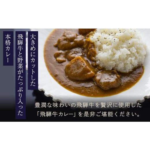 ふるさと納税 加工品等 レトルト 岐阜県 高山市 本格飛騨牛レトルトカレー 230g×10個 | 飛騨牛 レトルトカレー 贅沢 カレー 本格 中辛 ビーフカレー 便利 簡…の画像