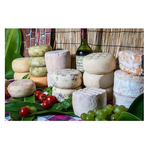 ふるさと納税 沖縄県 南城市 チーズガイこと英国紳士ジョンさんのナチュラルチーズ人気の4種と季節のチーズ2種セット！ 