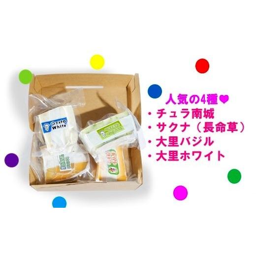 ふるさと納税 沖縄県 南城市 チーズガイこと英国紳士ジョンさんのナチュラルチーズ人気の4種と季節のチーズ2種セット！ 