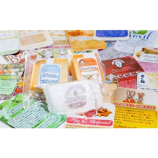 ふるさと納税 沖縄県 南城市 チーズガイこと英国紳士ジョンさんのナチュラルチーズ人気の4種と季節のチーズ2種セット！ 