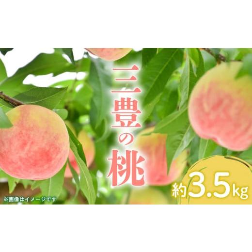 ふるさと納税 香川県 三豊市 M02-0052_[先行予約]とろける果肉 「三豊の桃」 約3.5kg