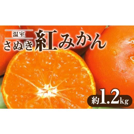 ふるさと納税 果物類 みかん 香川県 三豊市 温室さぬき紅みかん約1.2kg