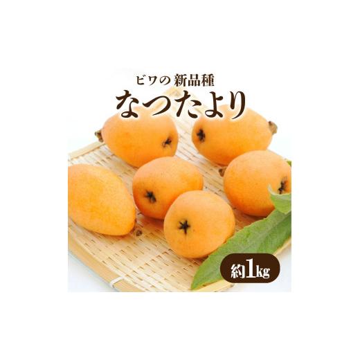 ふるさと納税 果物類 びわ 香川県 三豊市 ビワ なつたより 約1kg