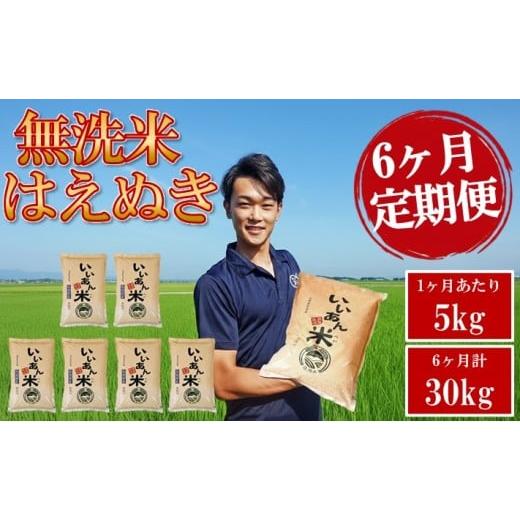 ふるさと納税 無洗米 山形県 酒田市 6ヶ月定期便 無洗米 はえぬき 5kg×6ヶ月連続 計30kg 農家直送 いいあん米 山形県庄内産 毎月下旬頃お届け 米 お米 精米 …